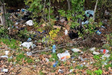 Yeşil güzel doğa tatili. İnsan davranışları. Sentetik çöp şişeleri. 