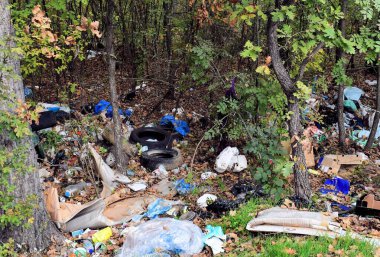 Yeşil orman güzel doğa insan sentetik çöp şişeleri kağıtlar lastik tekerlek ekoloji arka planı