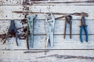 Eski inşaat istiridye 