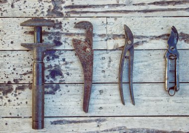 Eski inşaat istiridye