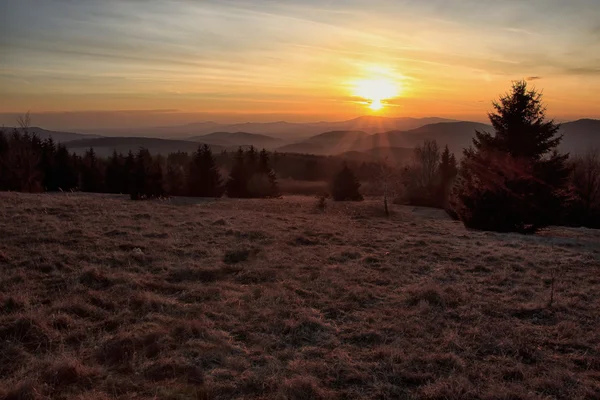 Paisaje al atardecer con árboles — Foto de Stock