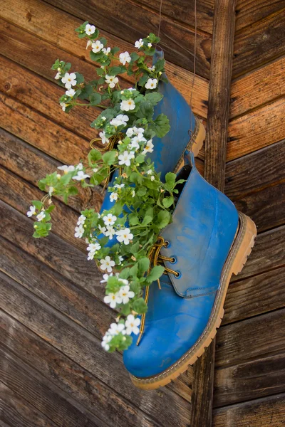 Flowerpots Made of Blue Shoes — Stock Photo, Image