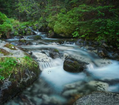Orman akarsu çakıl taşları ile