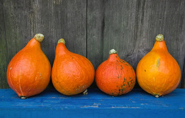 Oranje pompoenen op blauwe houten achtergrond — Stockfoto