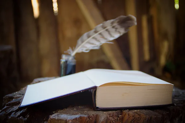 Escritura tradicional de tinta — Foto de Stock