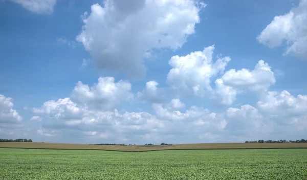 Ampio campo aperto — Foto Stock