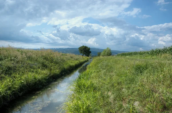 Campo torrente — Foto Stock