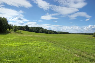 Yeşil çayır withsmall yazlık