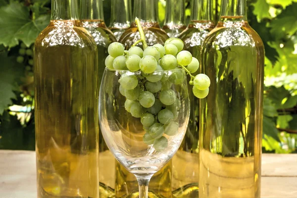 Vine Glass — Stock Photo, Image