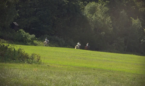 Paardrijden — Stockfoto