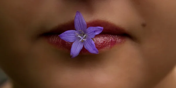 Labios de mujer con flor púrpura —  Fotos de Stock