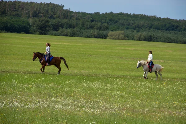 Dwa girlds jadą na koniach — Zdjęcie stockowe