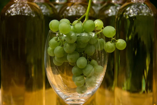 A szőlő szőlő üveg — Stock Fotó