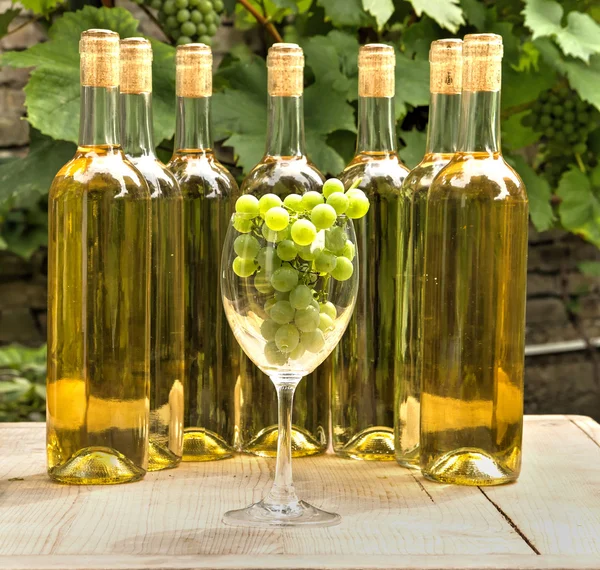 Vinproducent fortfarande — Stockfoto