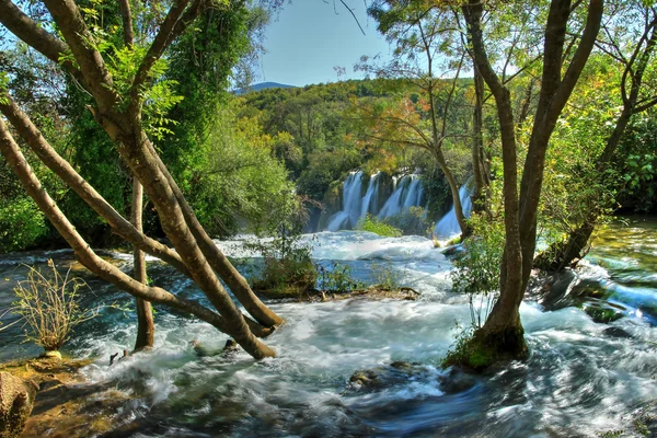 Wild Water Stream Falls til Waterfall – stockfoto