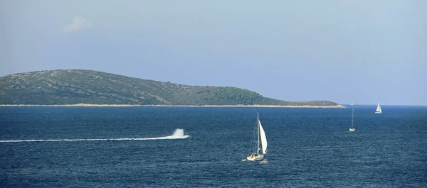 Caigues están navegando alrededor de la isla — Foto de Stock