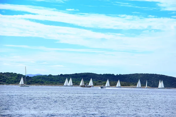 Clippers with Forested Island — Stock Photo, Image