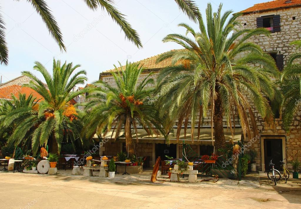 Old Stone Houses with Palms