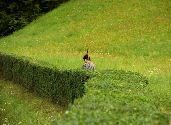 Garden Woman is Fixing Green Fence — Stock Photo, Image