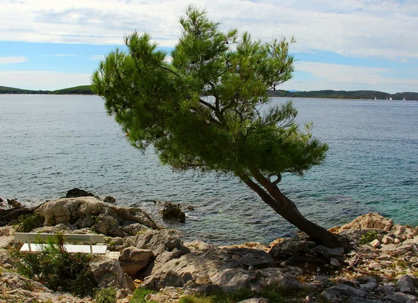 Panchina solitaria sulla costa — Foto Stock