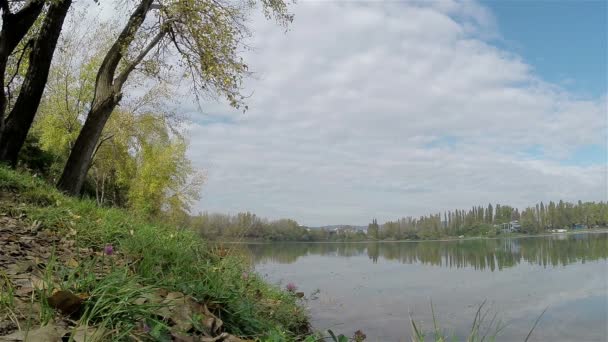 Падающие листья на озере Шоре — стоковое видео