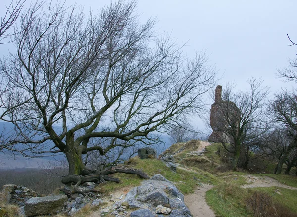 Rovine di un castello immenso — Foto Stock