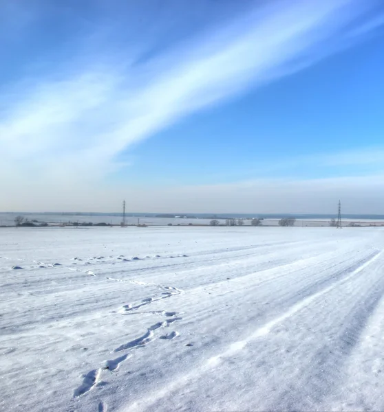 Winterfeldszene — Stockfoto