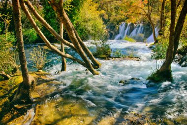 Ormandan gelen su akışı için Cascade düşüyor