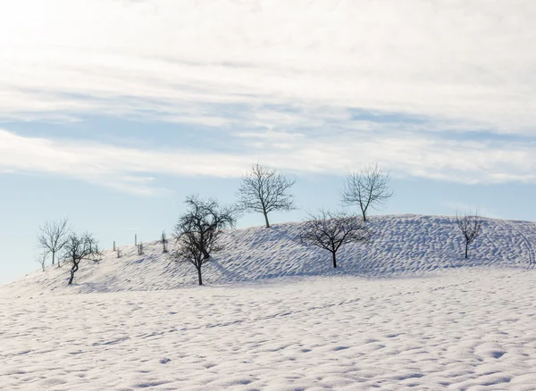 Paesaggio invernale con case di paese — Foto Stock