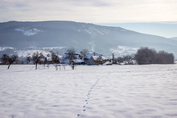 Paesaggio invernale con case di paese — Foto Stock