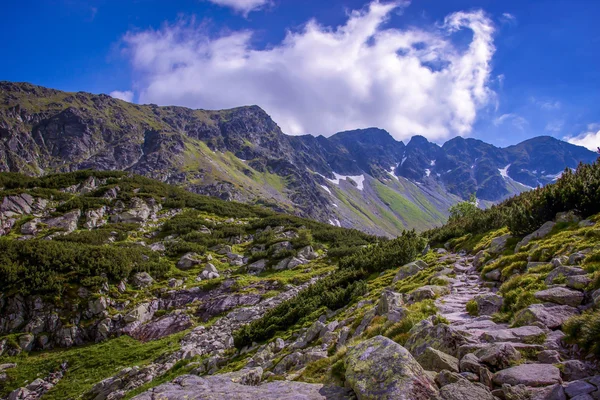 Path in Mountains — Stock Photo, Image