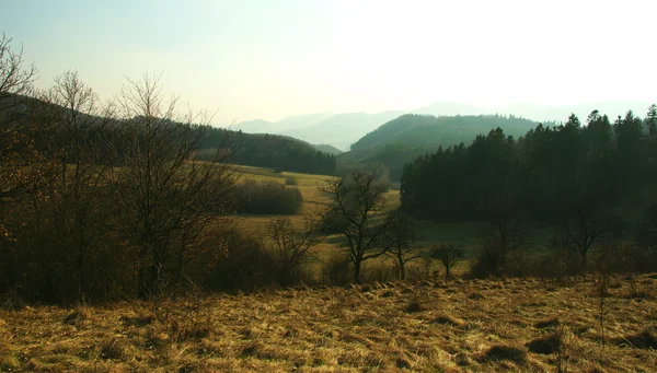 Vallée le matin — Photo