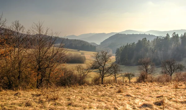 W godzinach porannych w dolinie — Zdjęcie stockowe