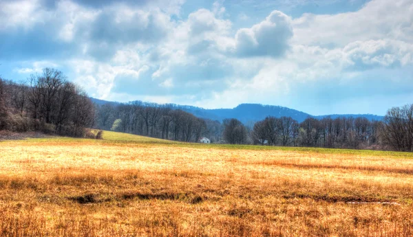 Gras landschap — Stockfoto