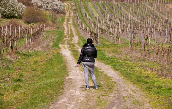 Mujer en camino en viñedos — Foto de Stock