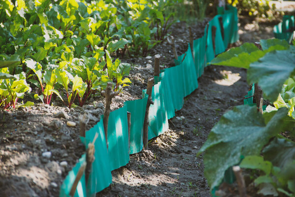 Садовые инструменты
