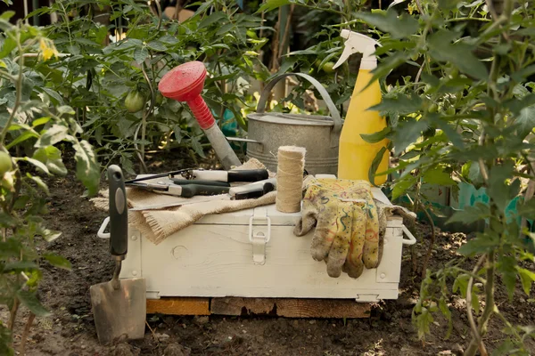 Ferramentas de jardinagem — Fotografia de Stock