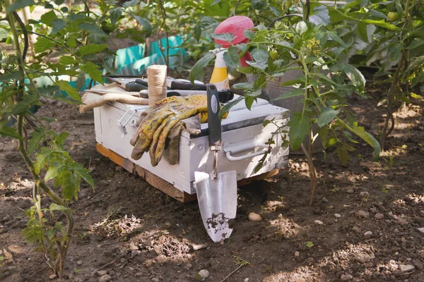 Herramientas de jardinería —  Fotos de Stock