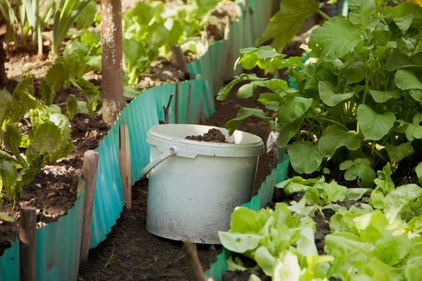 Alat berkebun — Stok Foto