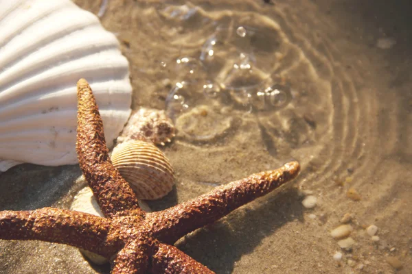 Sandy Beach Background — Stock Photo, Image