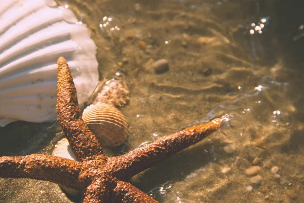 Sandy Beach Background — Stock Photo, Image