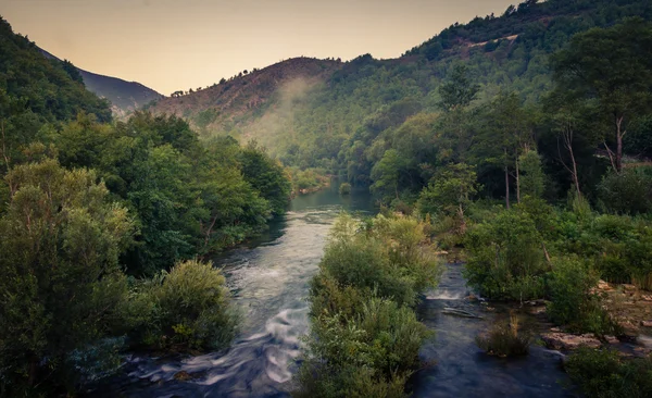 Tidig morgon river — Stockfoto