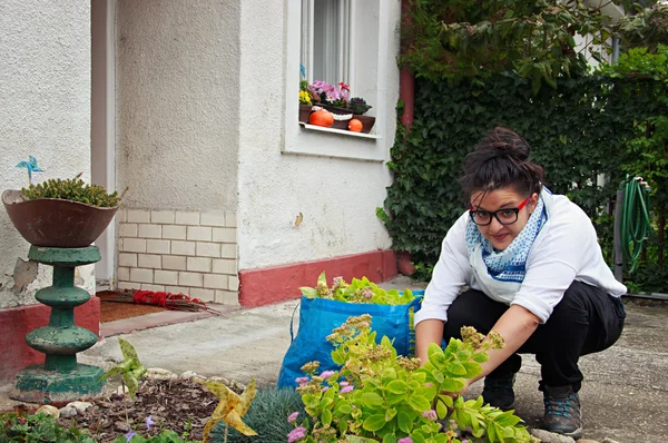 Garden Autumn Work — Stock Photo, Image