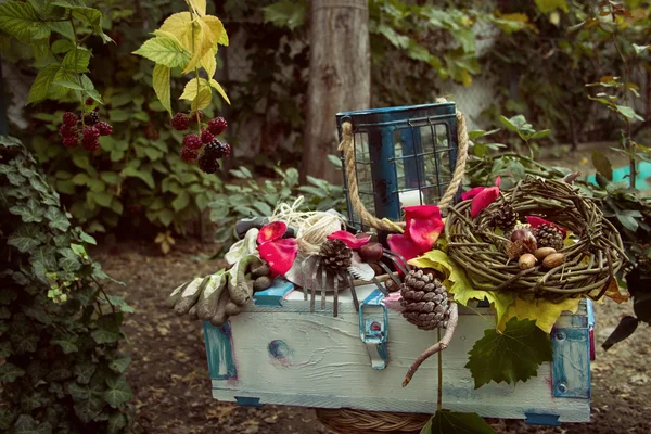 秋の園芸装飾 — ストック写真