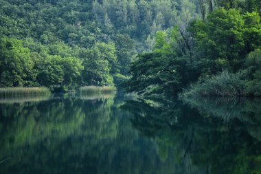 Huzurlu sabah Nehri