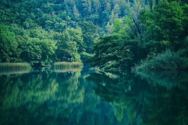 Мирне річки ранку — стокове фото