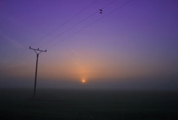 Elektriska poler i Sunrise — Stockfoto