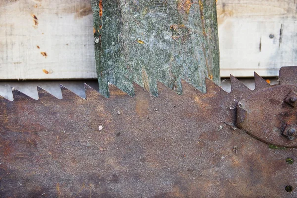 Sägewerk und Holz — Stockfoto