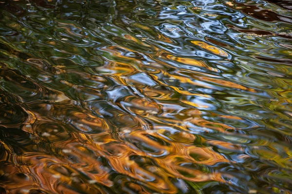Brillante Reflejo Árboles Otoñales Agua Hojas Amarillas Flotan Superficie Del —  Fotos de Stock