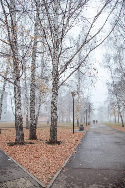 Late Autumn City Fog Rare Leaves Trees — Stock Photo, Image